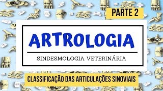 Classificação das articulações sinoviais Articulação Veterinária  PARTE 2 [upl. by Kirshbaum]