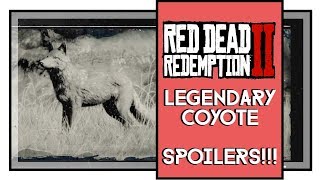 Red Dead Redemption 2 Legendary Coyote Location SPOILERS [upl. by Akiemaj82]