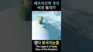 The Legend of Zelda Tears of the Kingdom 98 shorts zelda zeldatearsofthekingdom zeldatotk fyp [upl. by Tandi]