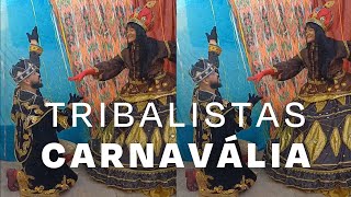 Tribalistas  Carnavália lyric video [upl. by Hseyaj]