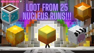 25 Nucleus Runs Are They WorthHypixel Skyblock Ironman ep 25 [upl. by Kajdan]