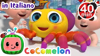 Il piccolo ragnetto  CoComelon Italiano  Canzoni per Bambini [upl. by Champ]