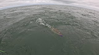 Dead Eye Baby Crank Bait Lands a Massive Walleye [upl. by Beaudoin445]