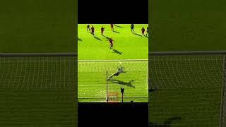 Spiderman Reflex  Best Goalkeeper Saves [upl. by Aikenat]