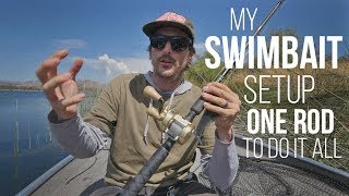 My Swimbait Setup One Rod to do it ALL [upl. by Mitzie688]