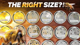 Unlocking Efficiency What is the Right Hole Size for Bee Feeder Jar 📏🐝 beekeepingtips [upl. by Viveca]