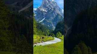 Exploring Natures Wondersmaster piece of natureshortsvideo [upl. by Koeninger]