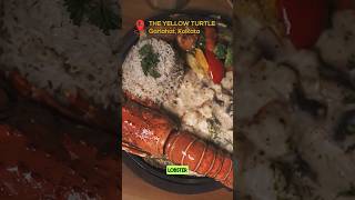 Lobster Thermidor  Exotic Asian Food at The Yellow Turtle Gariahat  Japanese Restaurant Kolkata [upl. by Towill564]