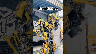 Bumblebee Transformers Universal Studios Orlando themeparkmaddy [upl. by Natsirt68]