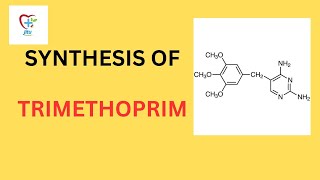 Synthesis of Trimethoprim Bpharma 6th semester medicinal chemistry 3rd [upl. by Jadda478]