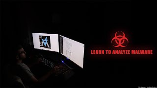 Learn to Analyze Malware  The Malware Analysis Project 101 [upl. by Pell]