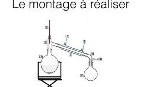 réaliser une extraction par entrainement à la vapeur [upl. by Gadmon]