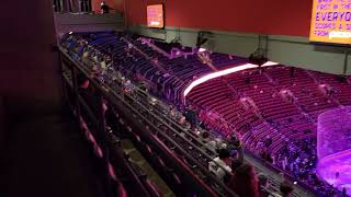 Scotiabank Arena Toronto Maple Leafs  View From Standing Room SRO Section 321 1924 vs Sharks [upl. by Helfant775]