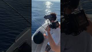 HO PESCATO UN ALLETTERATO DAL CATAMARANO pesca isoleeolie tonno [upl. by Arnoldo977]