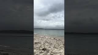 Cool day at Dutchies Beach 🏖️ and its white sands hightide beach shorts portstephens [upl. by Anes]