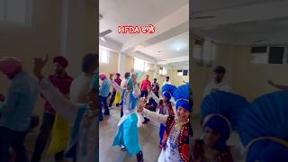 Full tyari  HFDA WALe  dance punjabi folkdance [upl. by Savil449]