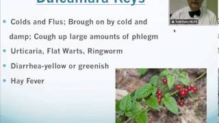 Dulcamara Homeopathic Medicine Tips For Beginners [upl. by Darian809]