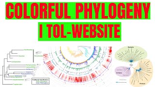 How to construct colorful Phylogenetic tree using iTOL [upl. by Harolda920]