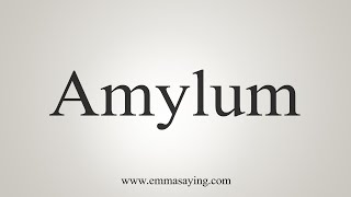 How To Say Amylum [upl. by Sabu]