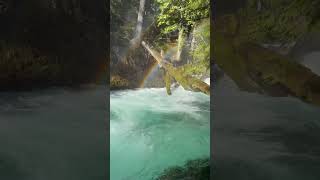 One of my favorite trails I Oregon the sahalie and koosah falls loop [upl. by Mackoff]