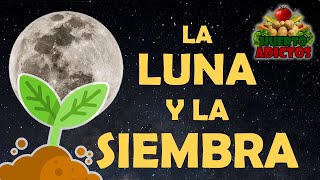 NO SIEMBRES SIN SABER ESTO 🌙 La Luna y la Agricultura Consejos de Siembra para Huerto y Jardín 🌱 [upl. by Akinahc]