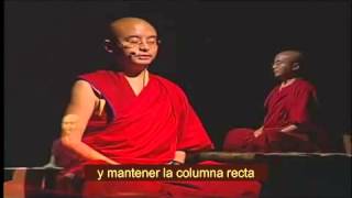 Yongey Mingyur Rinpoche 8 Realización [upl. by Dalia]