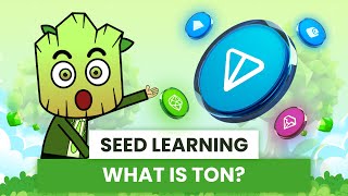 What is TON Blockchain Simply explained for Beginners  SEED Learning 6 [upl. by Urson]