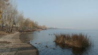 Reeds and trees close to the Dnieper river in Kiev [upl. by Neumann]