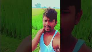 Ham lekin milenge deewanon se short video trending song pkp8303 [upl. by Lezti]