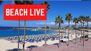 🔴☀️ LIVE Amadores Beach Gran Canaria May 1 2024 Weather Wetter [upl. by Jareen]