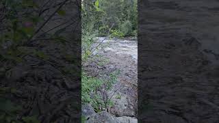 steamboat springs a nice night on fish creek [upl. by Nyledam]