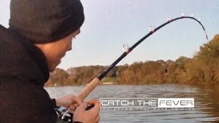 Largest Blue Catfish Ever Landed On Film 111 lbs [upl. by Nyletak882]