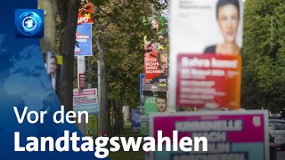 Vor den Landtagswahlen in Thüringen und Sachsen [upl. by Ahsenor509]