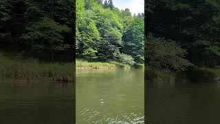 Szczawnica  Dunajec river poland nature meditationmusic relaxing relaxingmusic lullabymusic [upl. by Franci]