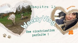 Quand le temps devient fou  13 WEEKLY VLOG S2 [upl. by Lavena656]