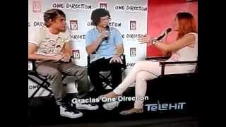 Niall Horan amp Harry Styles entrevista en Telehit [upl. by Nwahsad]