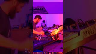 Drop out orangepression electronicmusic synthesizer livemusic arturia behringer roland korg [upl. by Kahn]