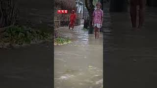 বিপৎসীমার ওপরে ব্রহ্মপুত্রের পানি brahmaputra river flood floodupdate somoytv reels [upl. by Anallij]