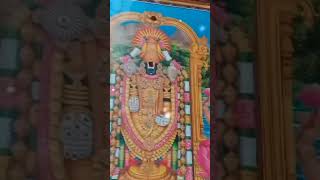 Tirumala vasa sri venkatesa🙏🙏 [upl. by Ytsirhc]