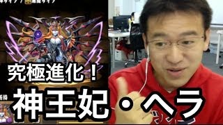 【パズドラ】ヘラ究極進化で、神王妃・ヘラに！悪魔35倍パ！！ ※訂正 水ロードさんも倍率上がる！ [upl. by Yelraf]