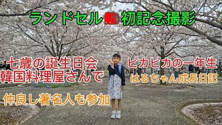 「はるちゃん」七歳誕生日！小学校入学前にランドセルで撮影！！ソメイヨシノ505本に囲まれました。亀戸の韓国料理屋さんで誕生日会 [upl. by Erbe]