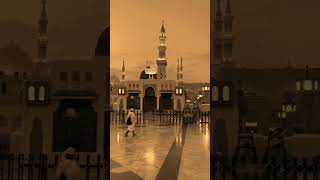 Yasrab k wali naat shrief by Muhammad Rameez official naats madina pak New shorts Original voices 😍😍 [upl. by Jehius391]