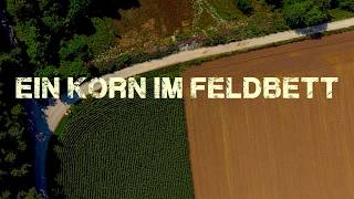 Andre Lederer  Ein Korn im Feldbett Freetrack [upl. by Eben]