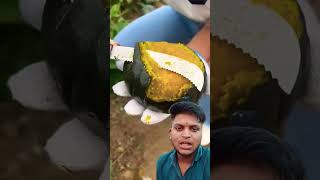 Chinese calendar कैसेकैसे fal ugate Hain 🍊🍈🍉🥭shortvideo youtube trending viralvideo fruit new [upl. by Yeltrab]