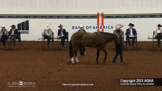 2023 Showmanship 13 amp Under  AQHYA World Championship Show [upl. by Sible]