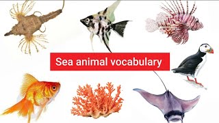 sea animals name facts on sea animals 150 vocabulary sea animals name viralvideo [upl. by Laurena]