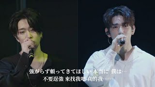 【Live中字】GOT7 珍榮amp榮宰 ​JinYoungampYoungJae  この胸に 來我懷裡吧 In This Chest  2017 quotTURN UPquot TourLive Clip [upl. by Dunstan]