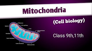 Mitochondriastructure composition and functionscell  cell biology [upl. by Akived]