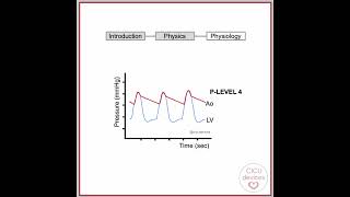 Impella physiology short [upl. by Ahtebat]