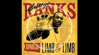 LIMB BY LIMB STP DNB REMIX CUTTY RANKS [upl. by Bellaude]